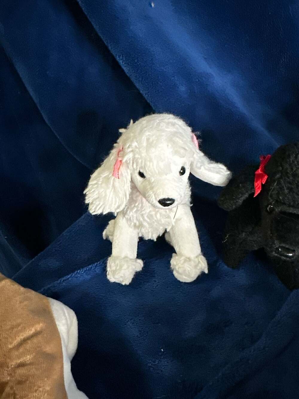 Lot of 8 Ty Beanie Babies Dog Plush Toys - Poodles, Basset Hound, Collie, Golden